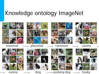 Knowledge ontology ImageNet
 