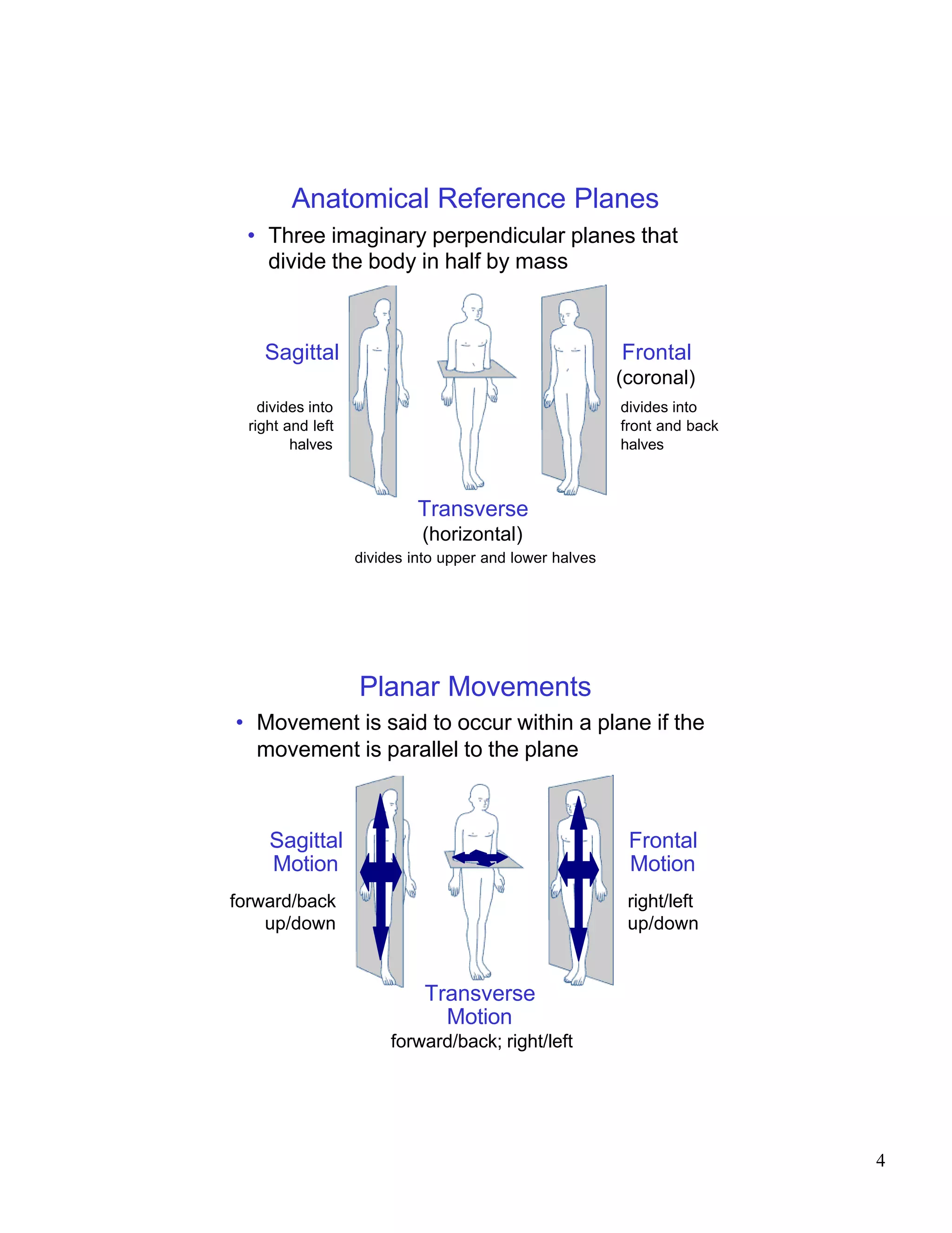 Anatomical Reference Planes
 • Three imaginary perpendicular planes that
   divide the body in half by mass



    Sagittal                                             Frontal
                                                         (coronal)
    divides into                                         divides into
  right and left                                         front and back
         halves                                          halves



                            Transverse
                            (horizontal)
                   divides into upper and lower halves




                   Planar Movements
• Movement is said to occur within a plane if the
  movement is parallel to the plane



     Sagittal                                             Frontal
     Motion                                               Motion
forward/back                                              right/left
    up/down                                               up/down


                             Transverse
                               Motion
                        forward/back; right/left




                                                                          4
 