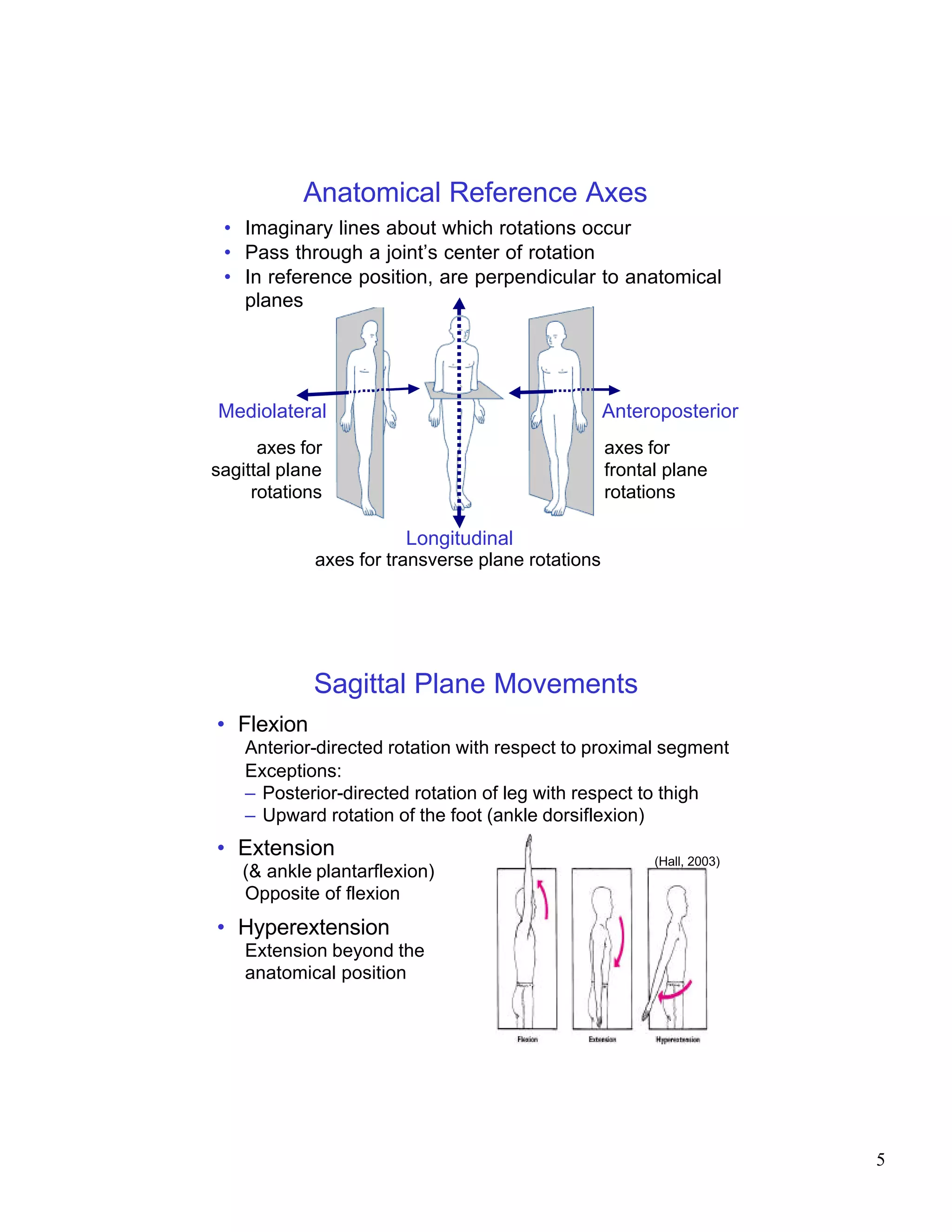 Anatomical Reference Axes
 • Imaginary lines about which rotations occur
 • Pass through a joint’s center of rotation
 • In reference position, are perpendicular to anatomical
   planes




Mediolateral                                       Anteroposterior
      axes for                                     axes for
sagittal plane                                     frontal plane
     rotations                                     rotations

                        Longitudinal
             axes for transverse plane rotations




            Sagittal Plane Movements
• Flexion
    Anterior-directed rotation with respect to proximal segment
    Exceptions:
    – Posterior-directed rotation of leg with respect to thigh
    – Upward rotation of the foot (ankle dorsiflexion)
• Extension                                              (Hall, 2003)
   (& ankle plantarflexion)
   Opposite of flexion
• Hyperextension
    Extension beyond the
    anatomical position




                                                                        5
 