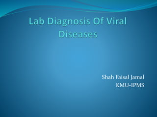 Shah Faisal Jamal
KMU-IPMS
 