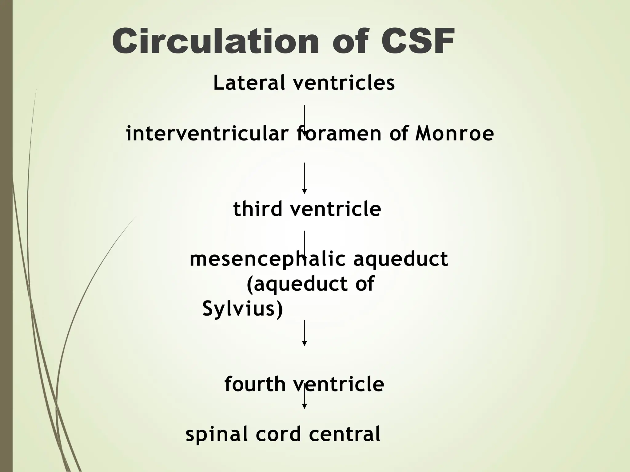Lecture 04. CSF cerebrospinal fluid examination.ppt