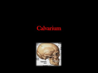 Radiological anatomy of the brain 1.pptx