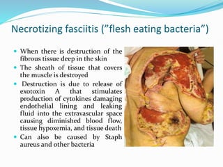 Streptococcus Microbiology Lecture 04 Kmu | PPTX