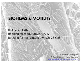 BIOFILMS & MOTILITY
Unit 04, 2.11.2021
Reading for today: Brown Ch. 12
Reading for next class: Brown Ch. 22 & 23
Dr. Kristen DeAngelis
Office Hours by appointment
deangelis@microbio.umass.edu
1
 