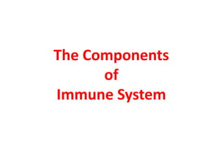 Comprehensive Overview of Immune System Components and Functions in ...