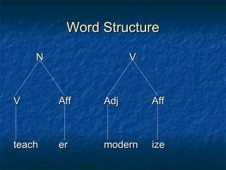 WWoorrdd SSttrruuccttuurree 
NN VV 
VV AAffff AAddjj AAffff 
tteeaacchh eerr mmooddeerrnn iizzee 
 