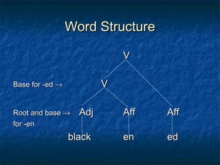 WWoorrdd SSttrruuccttuurree 
VV 
BBaassee ffoorr --eedd ® VV 
RRoooott aanndd bbaassee ® AAddjj AAffff AAffff 
ffoorr --eenn 
bbllaacckk eenn eedd 
 