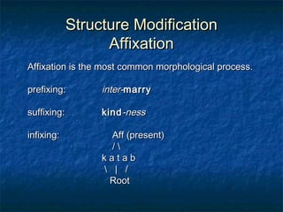 SSttrruuccttuurree MMooddiiffiiccaattiioonn 
AAffffiixxaattiioonn 
AAffffiixxaattiioonn iiss tthhee mmoosstt ccoommmmoonn mmoorrpphhoollooggiiccaall pprroocceessss.. 
pprreeffiixxiinngg:: iinntteerr--mmaarrrryy 
ssuuffffiixxiinngg:: kkiinndd--nneessss 
iinnffiixxiinngg:: AAffff ((pprreesseenntt)) 
//  
kk aa tt aa bb 
 || // 
RRoooott 
 