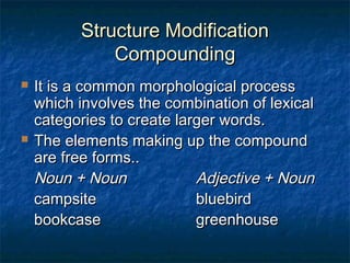 SSttrruuccttuurree MMooddiiffiiccaattiioonn 
CCoommppoouunnddiinngg 
 IItt iiss aa ccoommmmoonn mmoorrpphhoollooggiiccaall pprroocceessss 
wwhhiicchh iinnvvoollvveess tthhee ccoommbbiinnaattiioonn ooff lleexxiiccaall 
ccaatteeggoorriieess ttoo ccrreeaattee llaarrggeerr wwoorrddss.. 
 TThhee eelleemmeennttss mmaakkiinngg uupp tthhee ccoommppoouunndd 
aarree ffrreeee ffoorrmmss.... 
NNoouunn ++ NNoouunn AAddjjeeccttiivvee ++ NNoouunn 
ccaammppssiittee bblluueebbiirrdd 
bbooookkccaassee ggrreeeennhhoouussee 
 