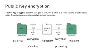 Computer Introduction-Lecture05 | PPT