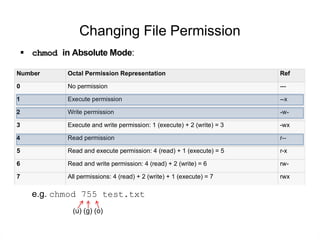 Comprehensive Guide to Linux File Permissions and Management | PDF