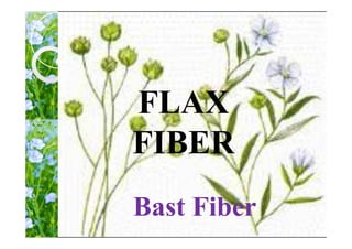FLAX
FIBER
Bast Fiber
 