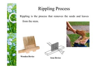 Flax fiber | PDF