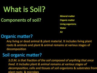 Introduction Organic matter decomposition | PPTX