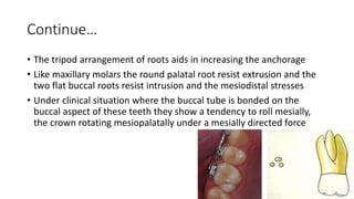 lecture_05_and_06-Anchorage_in_orthodontics[1].pptx