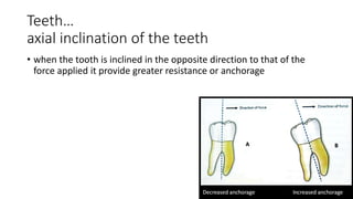 lecture_05_and_06-Anchorage_in_orthodontics[1].pptx