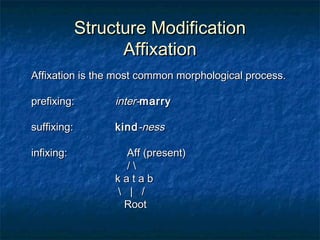 Lecture 05 sonia | PPT