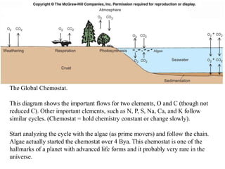Fig. 6.15
The Global Chemostat.
This diagram shows the important flows for two elements, O and C (though not
reduced C). Other important elements, such as N, P, S, Na, Ca, and K follow
similar cycles. (Chemostat = hold chemistry constant or change slowly).
Start analyzing the cycle with the algae (as prime movers) and follow the chain.
Algae actually started the chemostat over 4 Bya. This chemostat is one of the
hallmarks of a planet with advanced life forms and it probably very rare in the
universe.
 