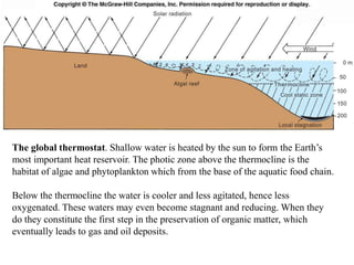 Fig. 6.16
The global thermostat. Shallow water is heated by the sun to form the Earth’s
most important heat reservoir. The photic zone above the thermocline is the
habitat of algae and phytoplankton which from the base of the aquatic food chain.
Below the thermocline the water is cooler and less agitated, hence less
oxygenated. These waters may even become stagnant and reducing. When they
do they constitute the first step in the preservation of organic matter, which
eventually leads to gas and oil deposits.
 