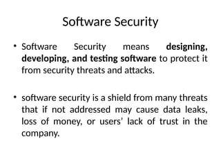 software security in information security | PPTX