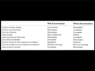 Understanding Normal and Abnormal Eye Vision and Refractive Errors | PDF