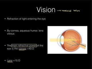 Understanding Normal and Abnormal Eye Vision and Refractive Errors | PDF