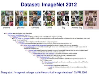Dataset: ImageNet 2012
Deng et al. “Imagenet: a large scale hierarchical image database” CVPR 2009
 