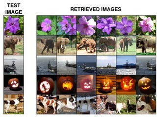 119
TEST
IMAGE
RETRIEVED IMAGES
 