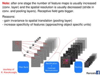 85courtesy of
K. Kavukcuoglu Ranzato
Note: after one stage the number of feature maps is usually increased
(conv. layer) and the spatial resolution is usually decreased (stride in
conv. and pooling layers). Receptive field gets bigger.
Reasons:
- gain invariance to spatial translation (pooling layer)
- increase specificity of features (approaching object specific units)
 