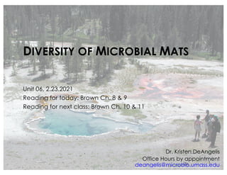 DIVERSITY OF MICROBIAL MATS
Unit 06, 2.23.2021
Reading for today: Brown Ch. 8 & 9
Reading for next class: Brown Ch. 10 & 11
Dr. Kristen DeAngelis
Office Hours by appointment
deangelis@microbio.umass.edu
1
 