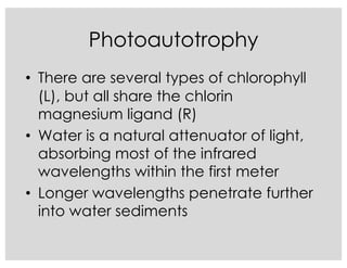 Photoautotrophy
• There are several types of chlorophyll
(L), but all share the chlorin
magnesium ligand (R)
• Water is a natural attenuator of light,
absorbing most of the infrared
wavelengths within the first meter
• Longer wavelengths penetrate further
into water sediments
 