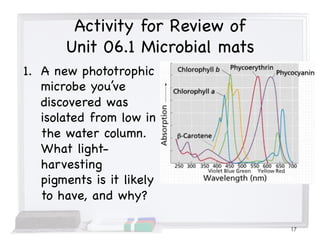 Activity for Review of
Unit 06.1 Microbial mats
1. A new phototrophic
microbe you’ve
discovered was
isolated from low in
the water column.
What light-
harvesting
pigments is it likely
to have, and why?
17
 
