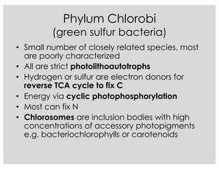 Phylum Chlorobi
(green sulfur bacteria)
• Small number of closely related species, most
are poorly characterized
• All are strict photolithoautotrophs
• Hydrogen or sulfur are electron donors for
reverse TCA cycle to fix C
• Energy via cyclic photophosphorylation
• Most can fix N
• Chlorosomes are inclusion bodies with high
concentrations of accessory photopigments
e.g. bacteriochlorophylls or carotenoids
 