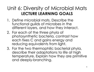 Unit 6: Diversity of Microbial Mats
LECTURE LEARNING GOALS
1. Define microbial mats. Describe the
functional guilds of microbes in the
different layers, and how they interact.
2. For each of the three phyla of
photosynthetic bacteria, contrast how
each fixes C and gains energy and
reducing equivalents from light.
3. For the two thermophilic bacterial phyla,
describe their adaptations to life at high
temperature. Explain how they are primitive
and deeply-branching.
4
 
