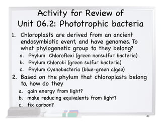 Activity for Review of
Unit 06.2: Phototrophic bacteria
1. Chloroplasts are derived from an ancient
endosymbiotic event, and have genomes. To
what phylogenetic group to they belong?
a. Phylum Chloroflexi (green nonsulfur bacteria)
b. Phylum Chlorobi (green sulfur bacteria)
c. Phylum Cyanobacteria (blue-green algae)
2. Based on the phylum that chloroplasts belong
to, how do they
a. gain energy from light?
b. make reducing equivalents from light?
c. fix carbon?
40
 