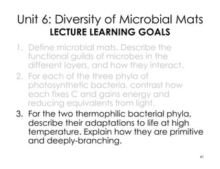 Unit 6: Diversity of Microbial Mats
LECTURE LEARNING GOALS
1. Define microbial mats. Describe the
functional guilds of microbes in the
different layers, and how they interact.
2. For each of the three phyla of
photosynthetic bacteria, contrast how
each fixes C and gains energy and
reducing equivalents from light.
3. For the two thermophilic bacterial phyla,
describe their adaptations to life at high
temperature. Explain how they are primitive
and deeply-branching.
41
 