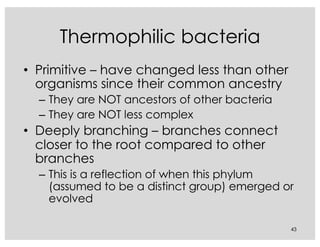 Thermophilic bacteria
• Primitive – have changed less than other
organisms since their common ancestry
– They are NOT ancestors of other bacteria
– They are NOT less complex
• Deeply branching – branches connect
closer to the root compared to other
branches
– This is a reflection of when this phylum
(assumed to be a distinct group) emerged or
evolved
43
 