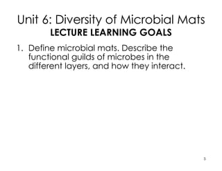 Unit 6: Diversity of Microbial Mats
LECTURE LEARNING GOALS
1. Define microbial mats. Describe the
functional guilds of microbes in the
different layers, and how they interact.
2. For each of the three phyla of
photosynthetic bacteria, contrast how
each fixes C and gains energy and
reducing equivalents from light.
3. For the two thermophilic bacterial phyla,
describe their adaptations to life at high
temperature. Explain how they are primitive
and deeply-branching.
5
 
