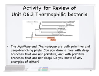 Activity for Review of
Unit 06.3 Thermophilic bacteria
• The Aquificae and Thermotogae are both primitive and
deep-branching phyla. Can you draw a tree with deep
branches that are not primitive, and with primitive
branches that are not deep? Do you know of any
examples of either?
50
 