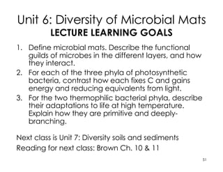 Unit 6: Diversity of Microbial Mats
LECTURE LEARNING GOALS
1. Define microbial mats. Describe the functional
guilds of microbes in the different layers, and how
they interact.
2. For each of the three phyla of photosynthetic
bacteria, contrast how each fixes C and gains
energy and reducing equivalents from light.
3. For the two thermophilic bacterial phyla, describe
their adaptations to life at high temperature.
Explain how they are primitive and deeply-
branching.
Next class is Unit 7: Diversity soils and sediments
Reading for next class: Brown Ch. 10 & 11
51
 
