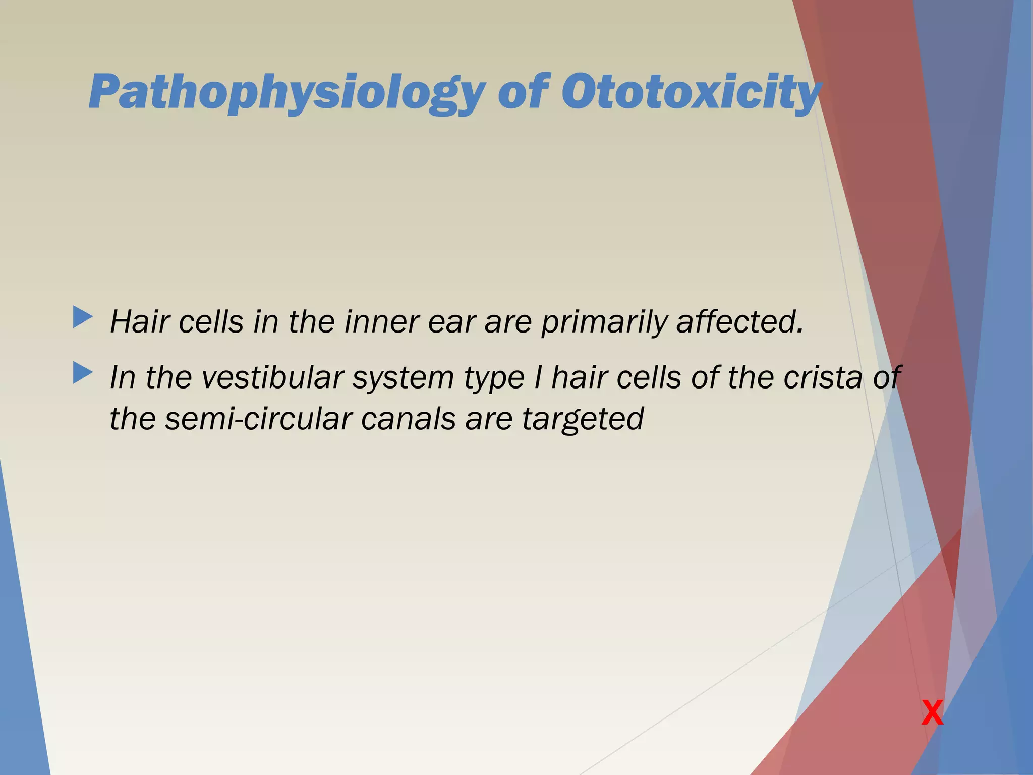 Pathophysiology of Ototoxicity
 Hair cells in the inner ear are primarily affected.
 In the vestibular system type I hair cells of the crista of
the semi-circular canals are targeted
X
 
