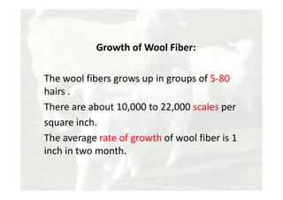 Growth of Wool Fiber:
The wool fibers grows up in groups of 5-80
hairs .
There are about 10,000 to 22,000 scales per
square inch.
The average rate of growth of wool fiber is 1
inch in two month.
 