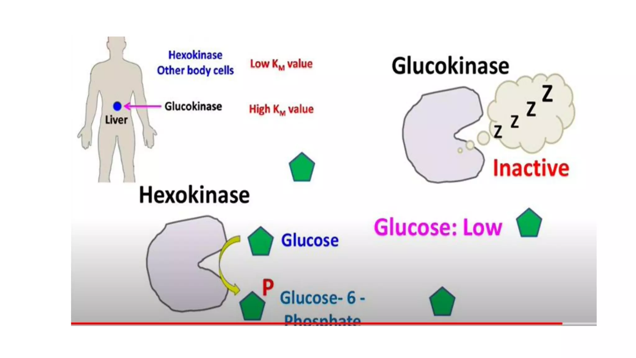 Lecture _07_08_03_21.pdf