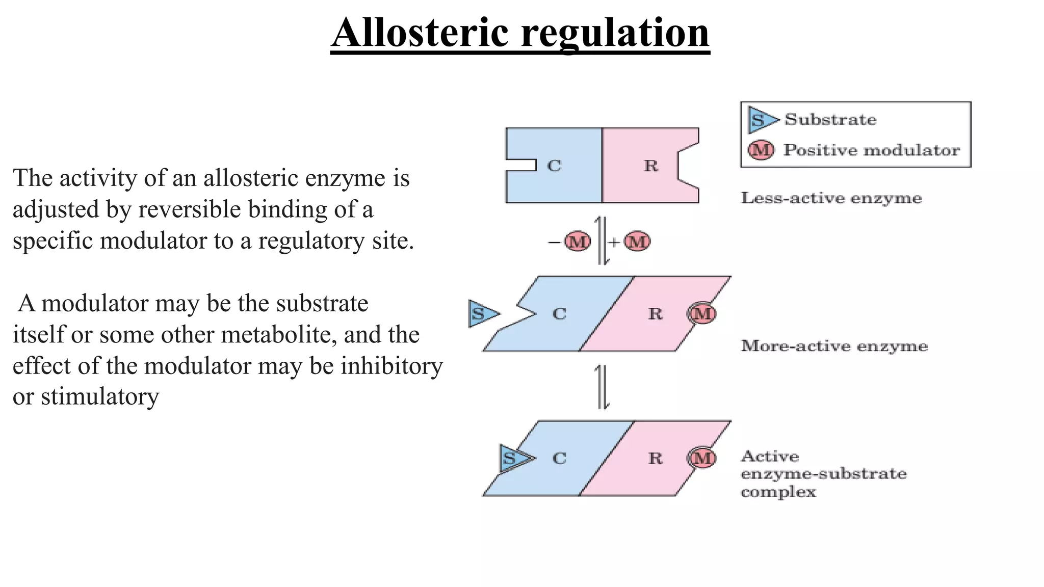The activity of an allosteric enzyme is
adjusted by reversible binding of a
specific modulator to a regulatory site.
A modulator may be the substrate
itself or some other metabolite, and the
effect of the modulator may be inhibitory
or stimulatory
Allosteric regulation
 