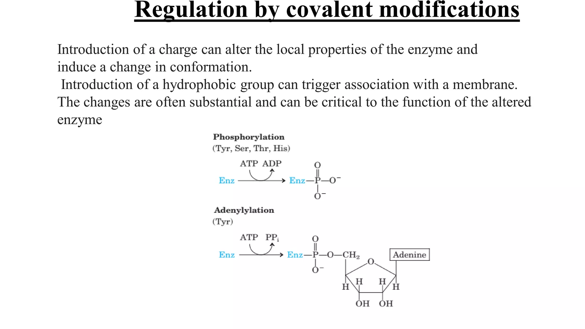 Introduction of a charge can alter the local properties of the enzyme and
induce a change in conformation.
Introduction of a hydrophobic group can trigger association with a membrane.
The changes are often substantial and can be critical to the function of the altered
enzyme
Regulation by covalent modifications
 