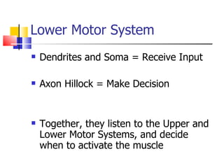 physiology | PPT