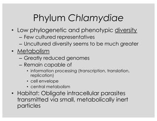 Phylum Chlamydiae
• Low phylogenetic and phenotypic diversity
– Few cultured representatives
– Uncultured diversity seems to be much greater
• Metabolism
– Greatly reduced genomes
– Remain capable of
• information processing (transcription, translation,
replication)
• cell envelope
• central metabolism
• Habitat: Obligate intracellular parasites
transmitted via small, metabolically inert
particles
 