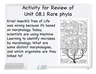 Activity for Review of
Unit 08.1 Rare phyla
Ernst Haeckl’s Tree of Life
was wrong because it’s based
on morphology. Today,
scientists are using Machine
Learning to identify microbes
by morphology. What are
some distinct morphologies,
and which organisms are they
linked to?
24
 