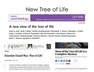 New Tree of Life
 