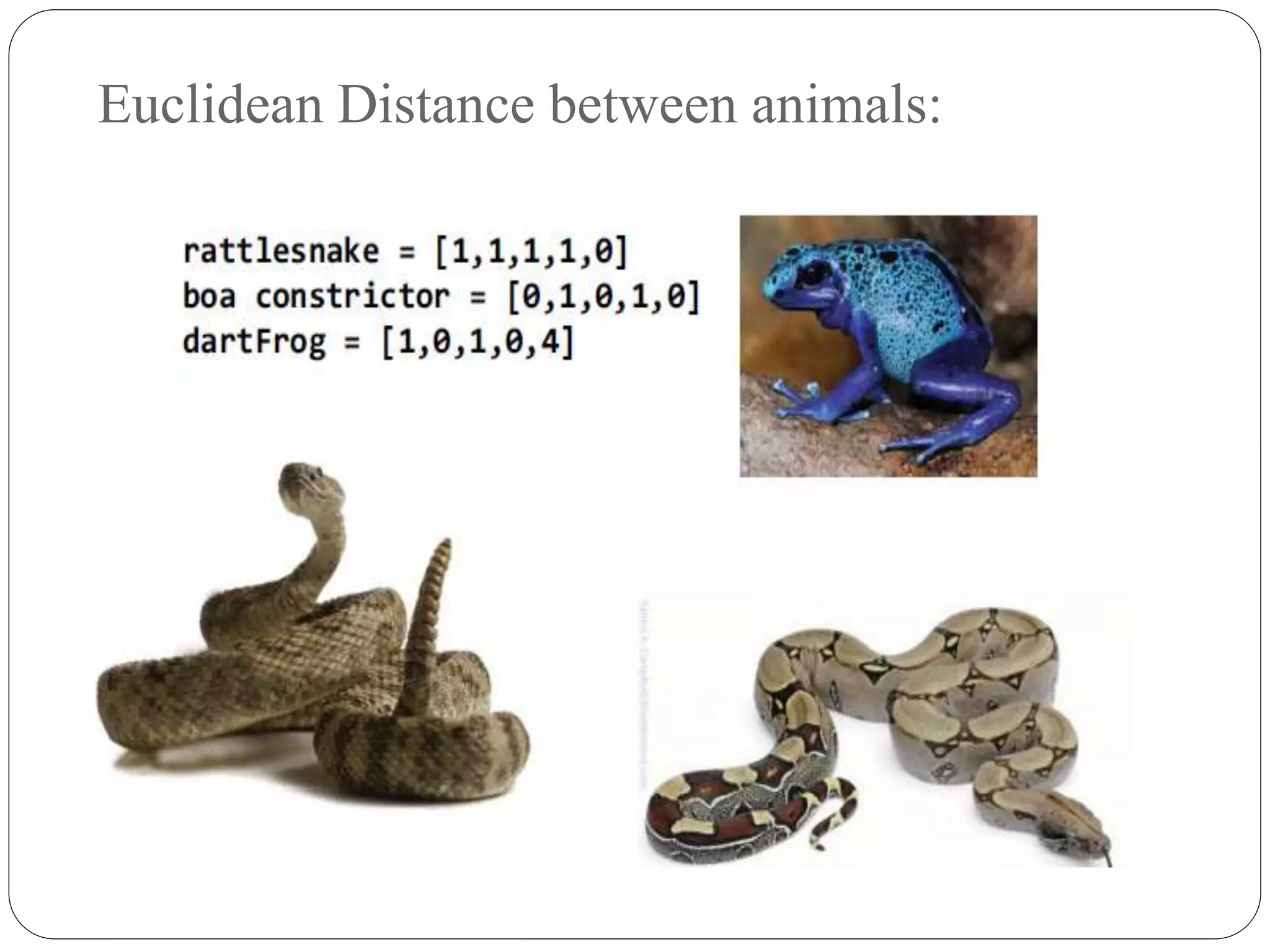 Euclidean Distance between animals:
 